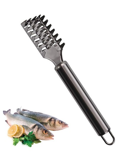 Buy Stainless steel fish scaler in Egypt