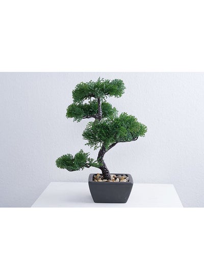 Buy Bonsai Pine Tree Green H38cm in UAE