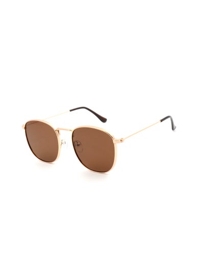 Buy Men's UV Protection Sunglasses EK24M002-3 - Gold/Black in UAE