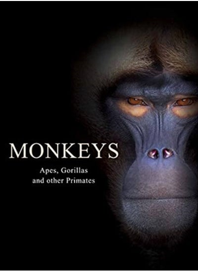 Buy Monkeys : Apes, Gorillas and other Primates in UAE