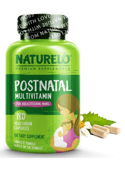 Buy Post Natal Multivitamin For Breastfeeding Moms 180 Vegetarian Capsules Dietry Formula Gentle On The Stomach in UAE