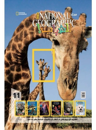 Buy National Geographic Volume 11 - Arabic in Egypt