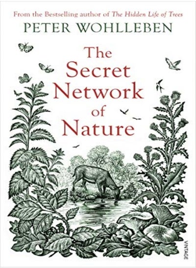 Buy The Secret Network of Nature: The Delicate Balance of All Living Things in UAE