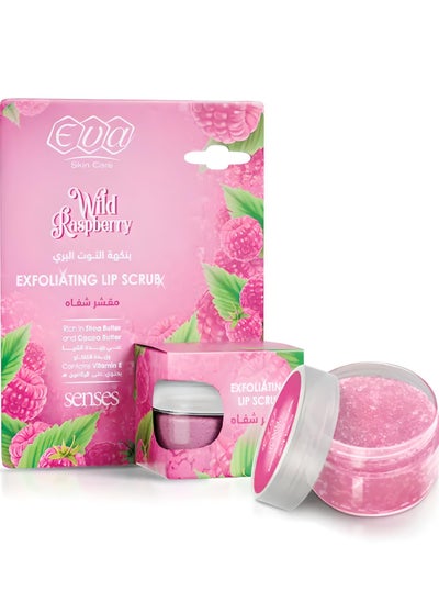 Buy Exfoliating Lip Scrub With Wild Raspberry 20gm in Egypt