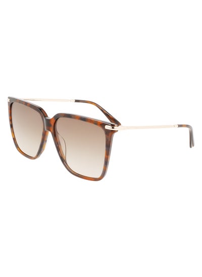 اشتري Full Rim Acetate Modified Rectangle Calvin Klein Sun Ck22531S 5713 (220) Brown Havana في الامارات