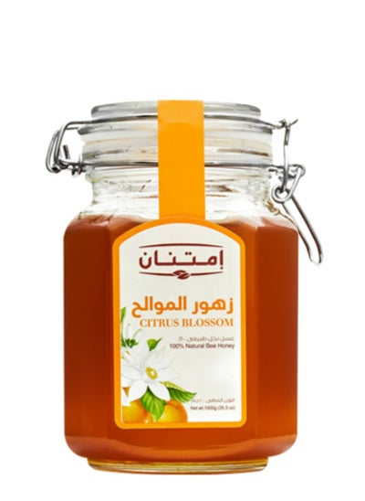 Buy Citrus Honey 1kg in Egypt