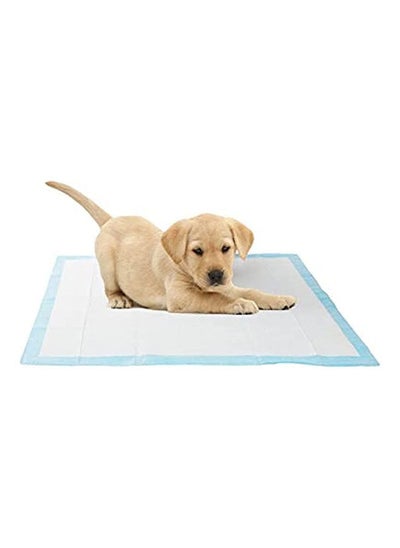 Buy Pets Pads For Absorbing Water L - 90x60 cm in Egypt