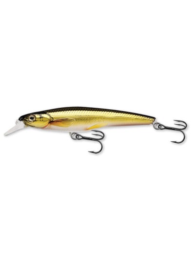 Buy Livetarget Rainbow Smelt Jerk Bait Shallow Dive  4 1/2" - 5/8oz in UAE