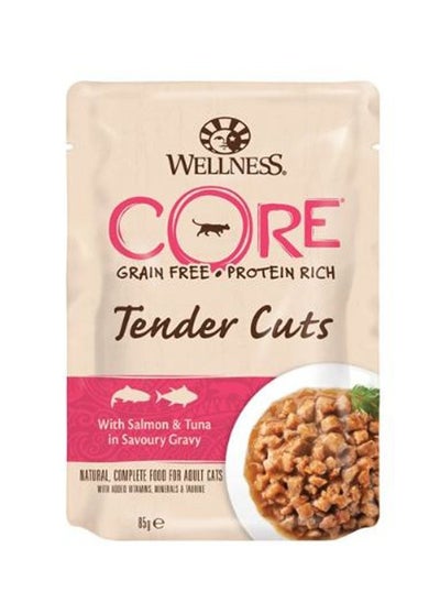 اشتري Wellness Core Tender Cuts Salmon & Tuna Cat 85g في الامارات