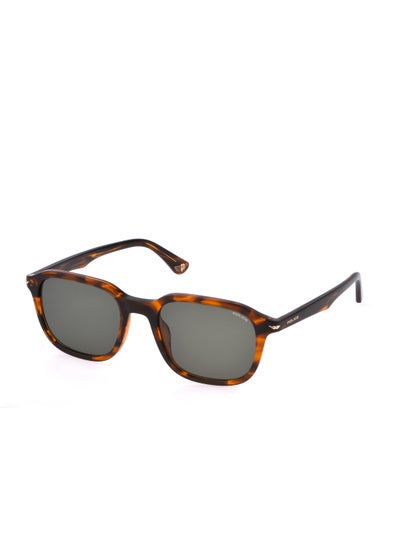 اشتري Men's Square Shape Acetate Sunglasses SPLL81M53836Y - Lens Size: 53 Mm - Shiny Striped Brown في الامارات