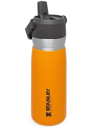 Buy IceFlow™  Flip Straw Water Bottle 0.65L / 22OZ Saffron – Leakproof | Stainless Steel Water Bottle with Flip Straw | BPA FREE | Easy to Carry | Dishwasher safe | Lifetime Warranty in UAE