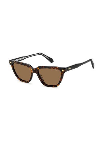 Buy Women's Polarized Rectangular Sunglasses - Pld 4157/S/X Brown Millimeter - Lens Size: 55 Mm in UAE