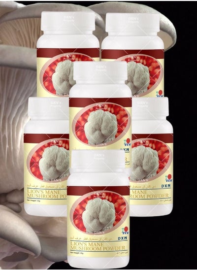 Buy 6 Pieces Lion's Mane Mushroom Powder 30g in Saudi Arabia