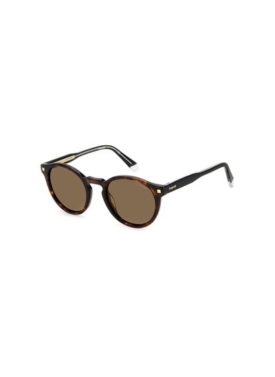 Buy Men's UV Protection Round Sunglasses - Pld 4150/S/X Hvn 50 - Lens Size: 50 Mm in UAE