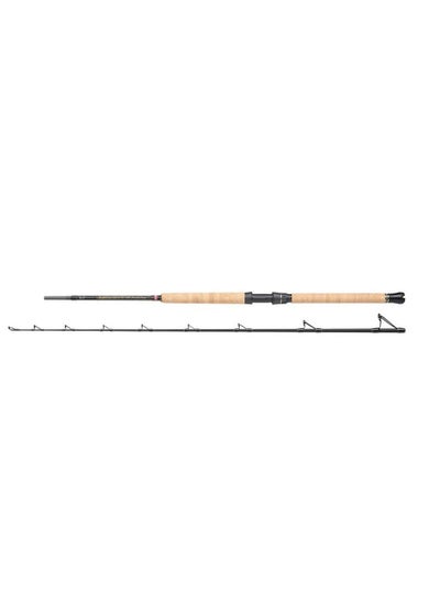 Buy PENN Regiment III Pro Boat Rods 30-50Ibs in UAE