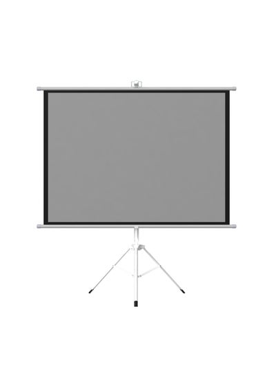 Buy 120 inch 4:3 Portable Projector Screen, Gray Fiberglass Material, with Tripod Stand ET120G-43 for Office and Outdoor in Saudi Arabia