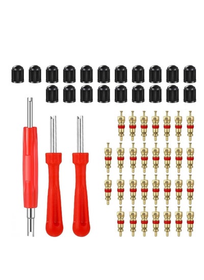 اشتري Tire Valve Core Remover Tools with 40 Pcs Schrader Valve Cores, 20Pcs O-ring Seal Valve Stem Caps, 3 Pieces Dual Single Head Tire Valve Core Remover Installer Repair Tools في السعودية