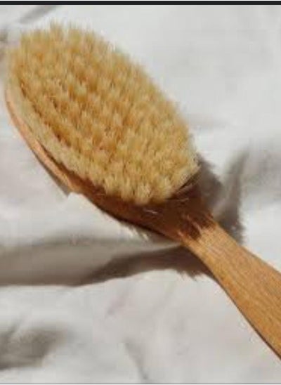 Buy Dry Body Scrub Brush in Egypt