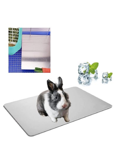 اشتري Rabbit Cooling Pad 11.8x7.9inch Hamster Cooling Mat Pet Cool Plate Ice Bed for Hamster Chinchilla Bunny Kitten Cat Summer Cooling Mat for Small Pets في السعودية