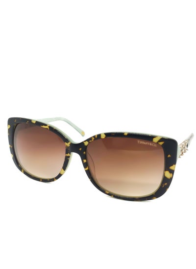 Buy Modern Brown TF4090B Women Sunglasses in Egypt