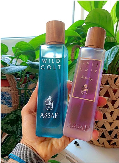 Buy Package Wild Colt 200 ml and Gris Erik Assaf 200 ml in Saudi Arabia