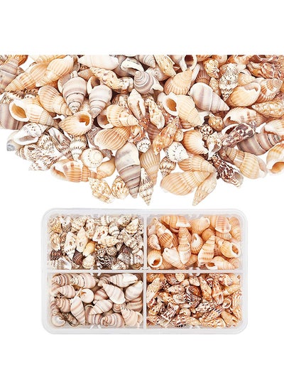 Buy Pandahall About 70G/330Pcs 4 Styles Spiral Shells  Ocean Beach Conch Seashells With Hole And No Hole For Bracelet Jewelry  Craft  Home Decoration  Fish Tank And Vase Filler in Egypt