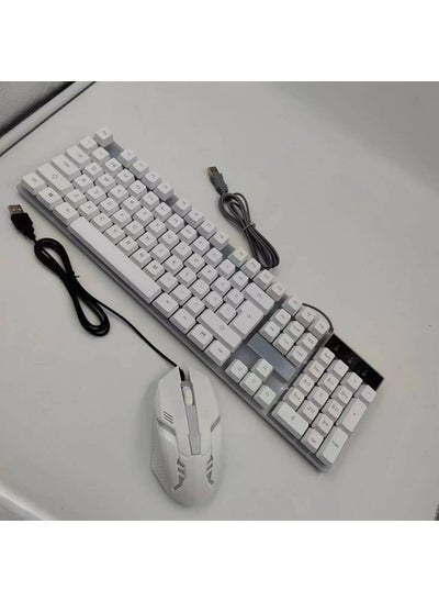 اشتري Wired Glowing Keyboard and Mouse USB ComboWhite luminous suit White luminous suit في السعودية