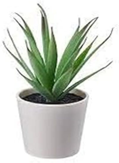 Buy FEJKA Artifical Plant (Room Decor) in Egypt