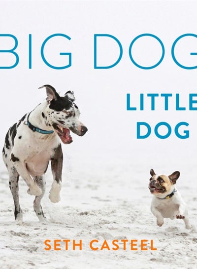 Buy Big Dog, Little Dog in UAE