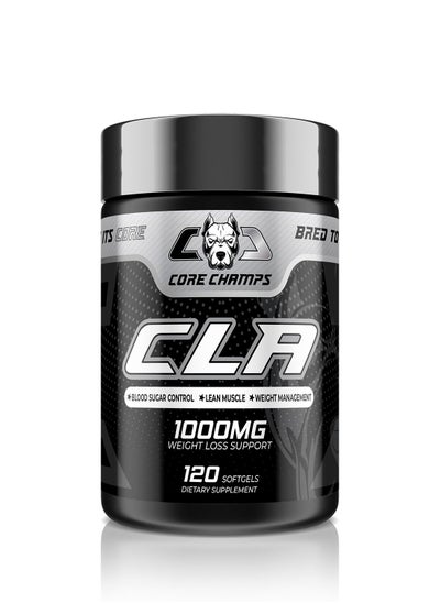 Buy Core Champs CLA 1000mg 120 Softgels in UAE