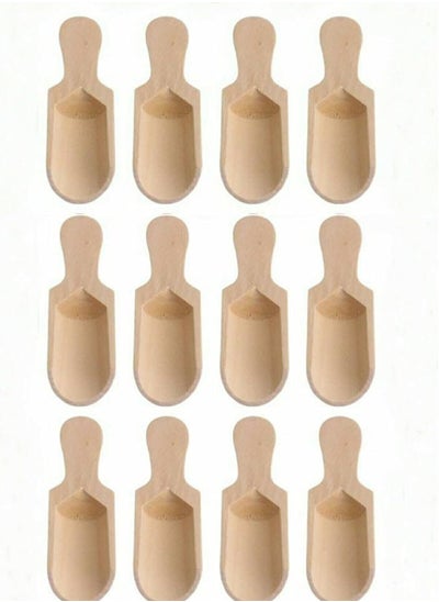 Buy Beech wood spice shovel 12 pieces in Egypt