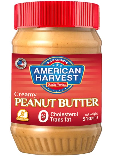 Buy Creamy Peanut Butter 510grams in UAE