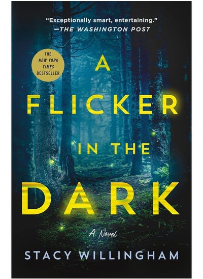 Buy A Flicker in the Dark: A Novel in UAE