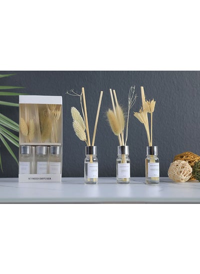 Buy Vanilla S/3 Reed Diffuser Ivory 10Ml in UAE