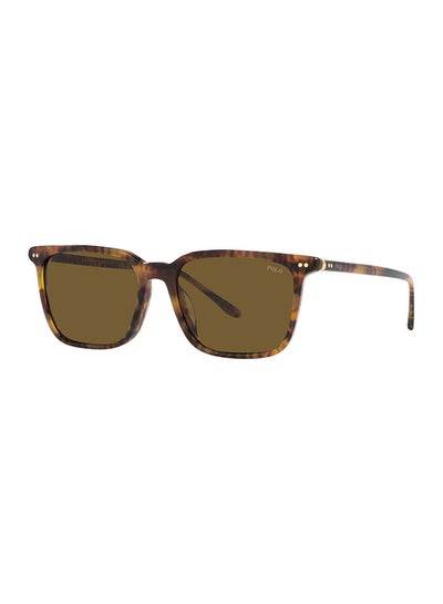 Buy Men's Square Sunglasses - PH4194U 501773 56 - Lens Size: 56 Mm in UAE