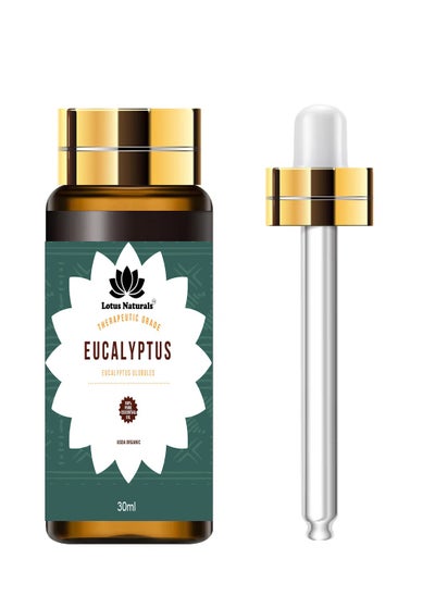 Buy Eucalyptus Essential Oil - 30ml - 100% Pure Natural in Egypt