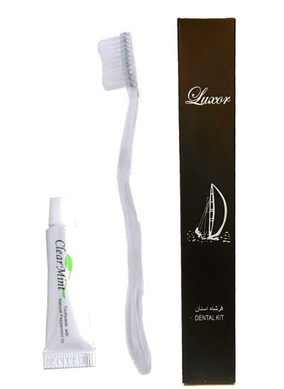 Buy Luxor Disposable Toothbrush & Toothpaste Toiletries Set in Bulk Ideal Size Hotel Amenities Dental Kit For Adults & Kids Pack of 50 in UAE