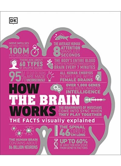 Buy How the Brain Works: The Facts Visually Explained in UAE