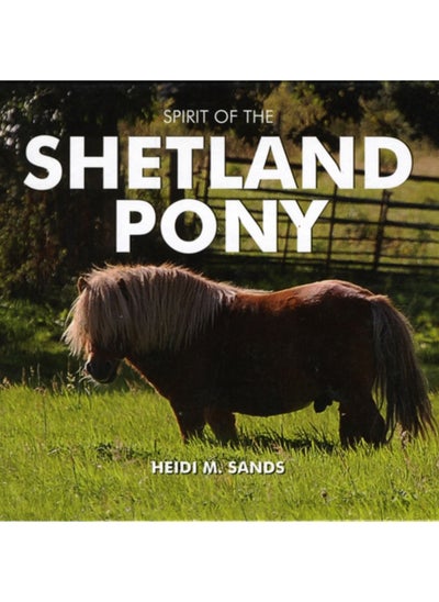 اشتري Spirit of the Shetland Pony في الامارات