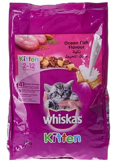 Buy Ocean Fish, Dry Food, kitten, 2-12 months, 1.1kg in Saudi Arabia