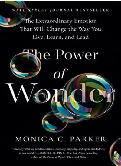 Buy Power Of Wonder The by Monica C. Parker Hardcover in UAE