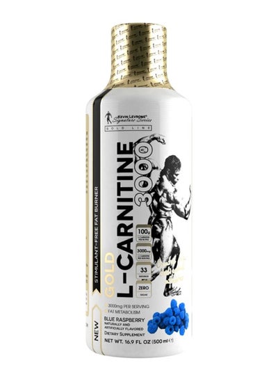 Buy Gold L-Carnitine 3000 Blue Raspberry 500ml in UAE