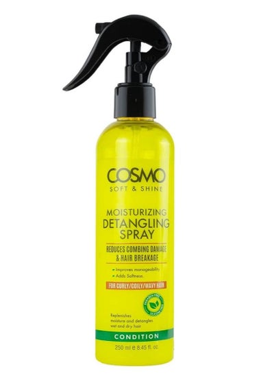 Buy Soft And Shine Moisturizing Detangling Spray For Curly Coily And Wavy Hair 250 Ml in Saudi Arabia