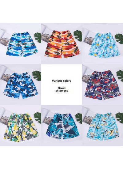 اشتري 1 x 5 pcs Stylish Quick-Dry Mens Beach Shorts Casual Swimwear Multicolor mixed batch في السعودية