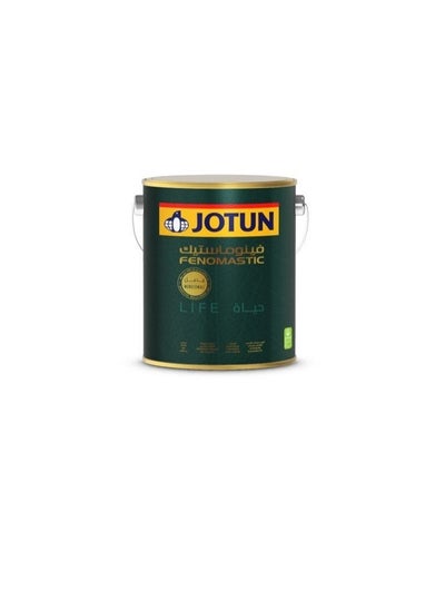 Buy Jotun Fenomastic Wonderwall Life 7163 Minty Breeze in UAE