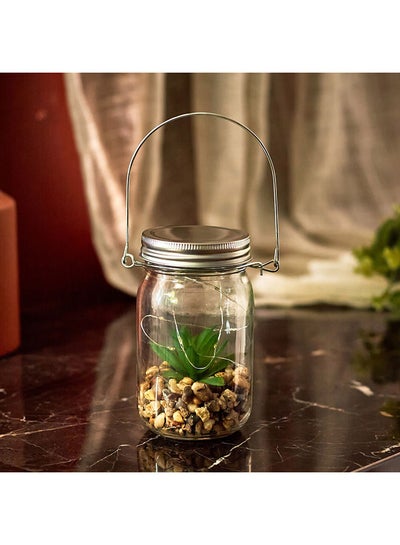 Buy Orla Glass Bottle With 10-Micro LED Light And Artificial Succulent 14 x 8.5 x 8.5 cm in UAE