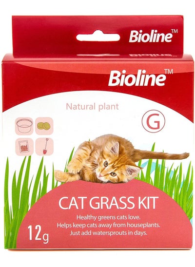 Buy Bioline Grass Seeds Kit For Cats 12G in UAE