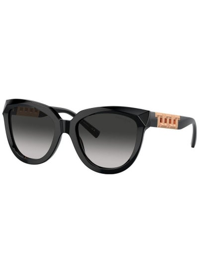 اشتري Tiffany Cat Eye TF4215 80013C 53 Women's Sunglasses في الامارات