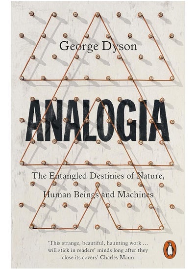 Buy Analogia: The Entangled Destinies of Nature, Human Beings and Machines in UAE