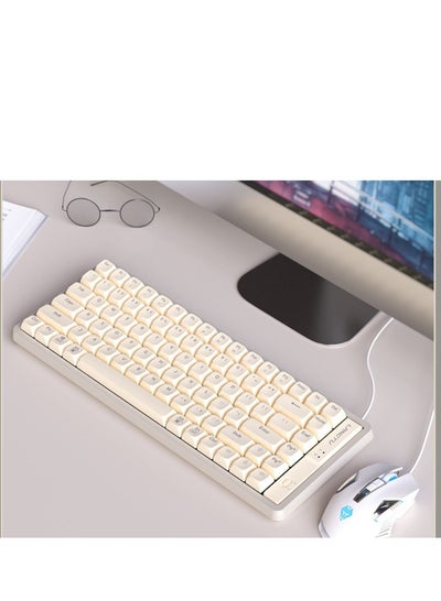 اشتري GK85 Wired Mechanical Keyboard Noise Absorbing Hotswap Linear Switch Keyboard RGB Backlights Gaming Keyboard White في الامارات